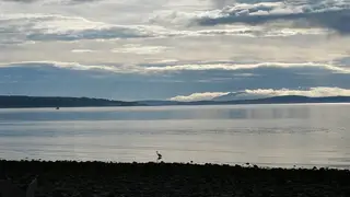 Calm water view from the Beachcomber RV Park shoreline
