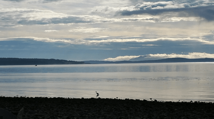 Beachcomber RV Park - 61b774f9 039d 4461 adec 95eddb6862c1