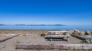 Picnic tables beside the beach at Beachcomber RV Park