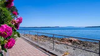 Sidney sea wall path with ocean and flowers