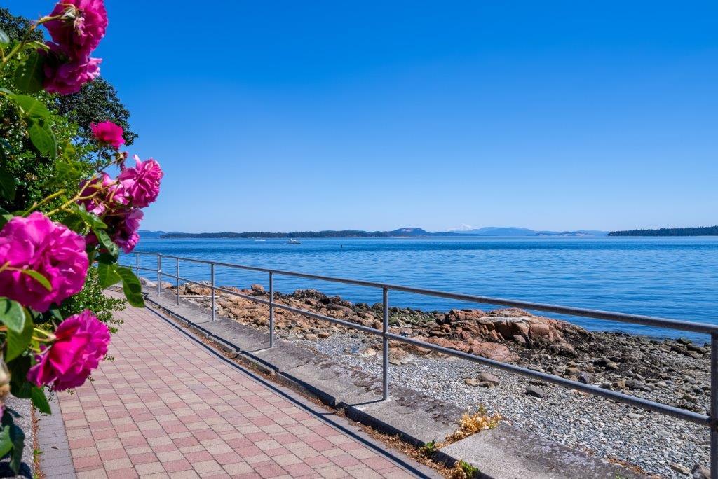 Beachcomber RV Park - Beachcomber Sidney Sea Wall 2