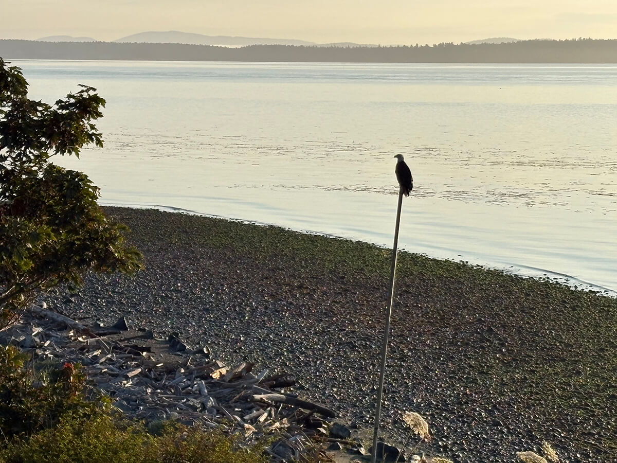 Beachcomber RV Park - EEE2F0EF 6E0E 4327 AAA0 F6D8DD67F156