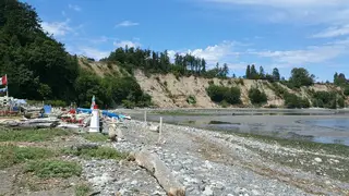 Driftwood and shoreline at Beachcomber RV Park