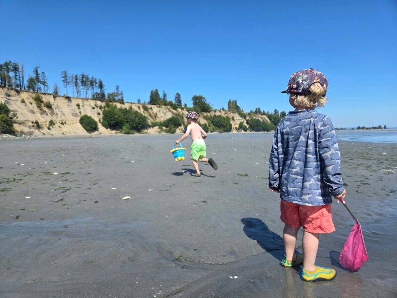 Beachcomber RV Park - image000000 e1754587360210