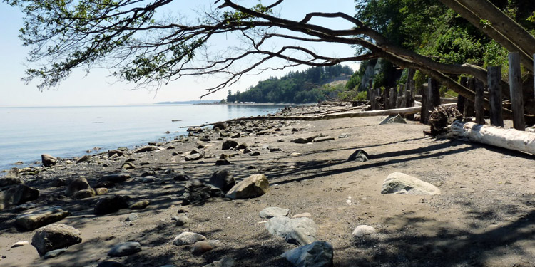 Beachcomber RV Park - looking south