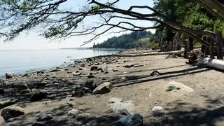 Looking south along the Beachcomber RV Park shoreline